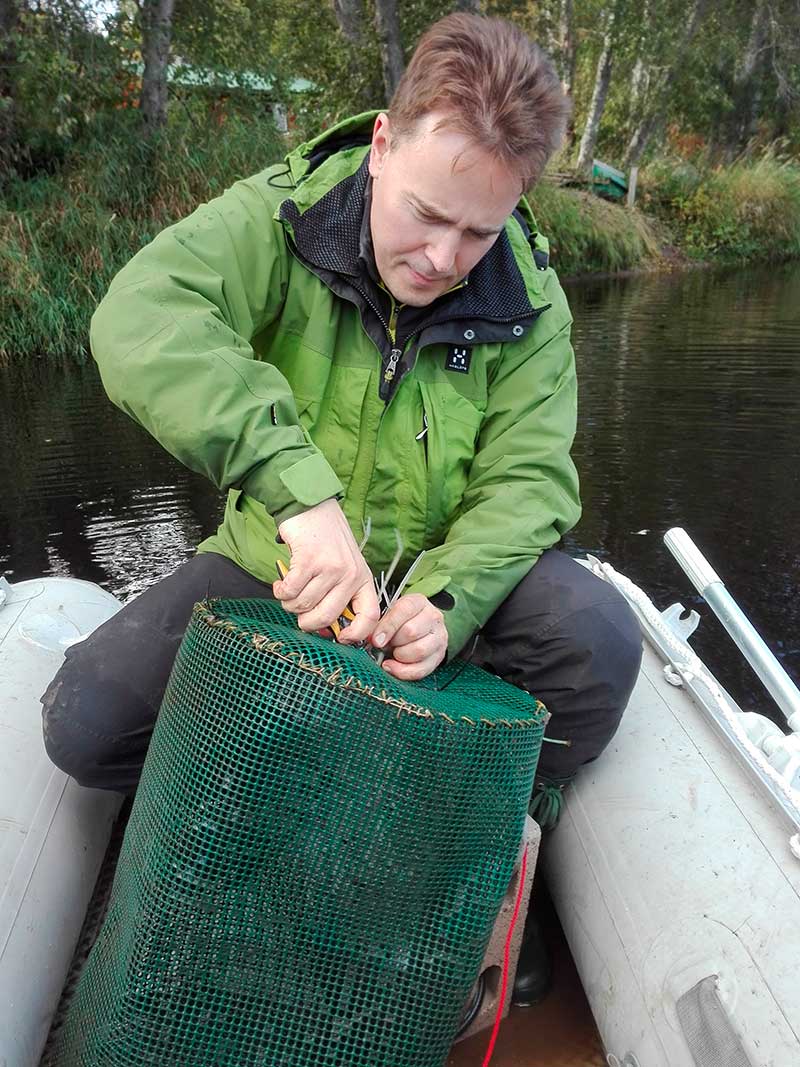 Tapio van Ooik laittaa veneessä kaloja sumppuun.