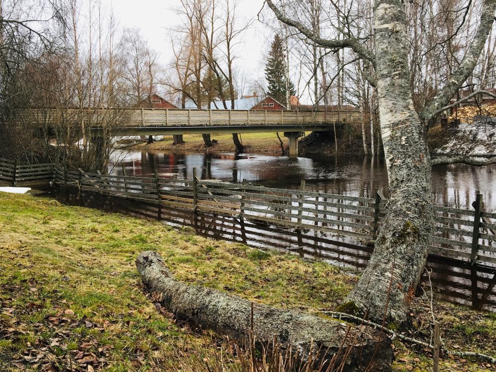 Tulviva Nurmonjoki maalaismaisemassa.