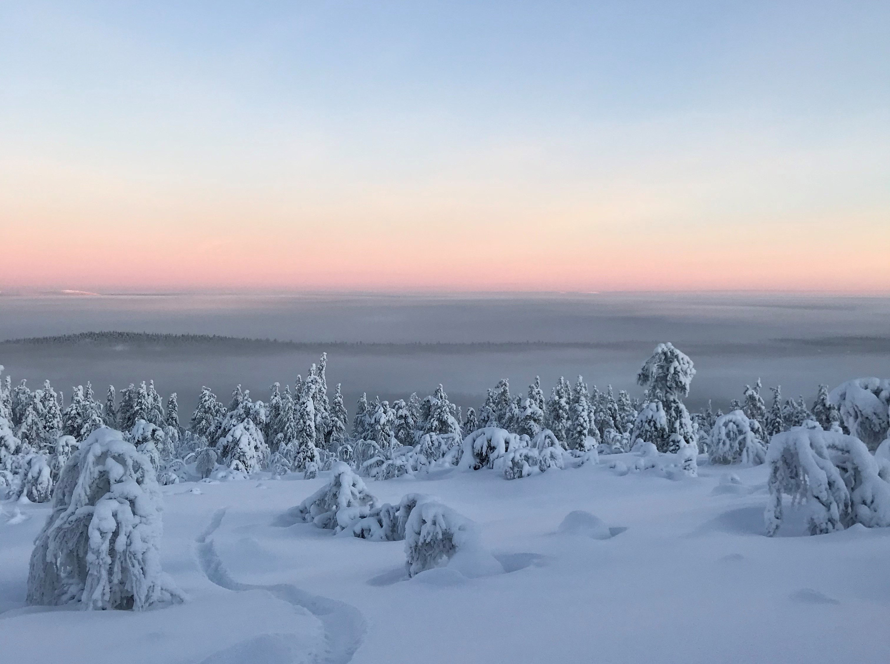 Talvinen tunturimaisema.