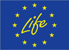 Life-logo