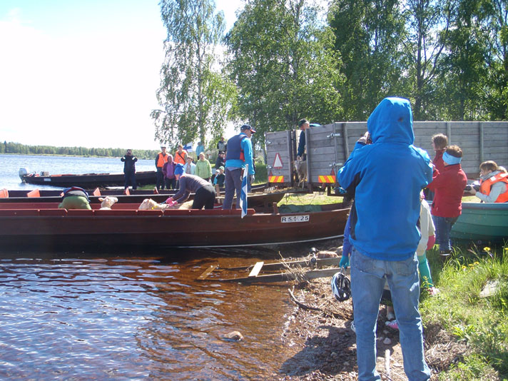 Lampaita vietiin Kotisaareen kesäkuun puolivälissä.