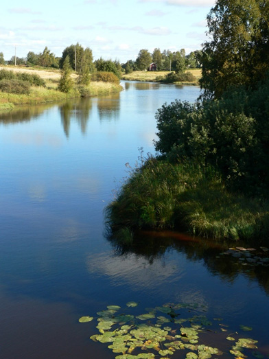 Kuvituskuva: Närpiönjoki