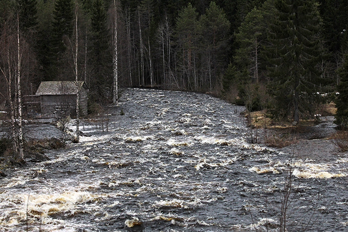 Torvenkoski Ristijärvellä