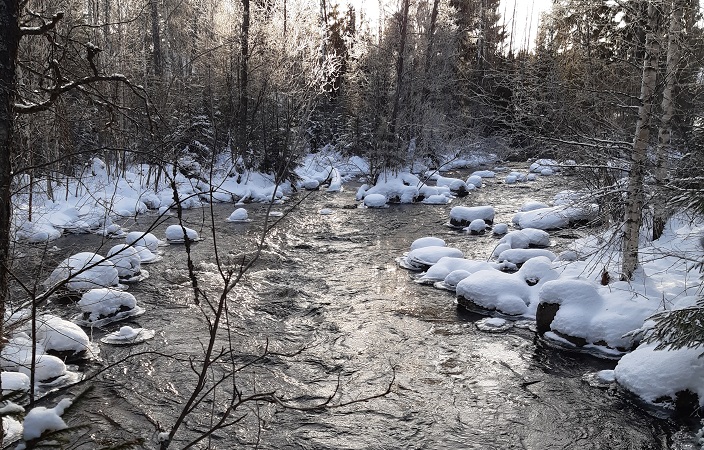 Puulaan laskeva Korpikoski.