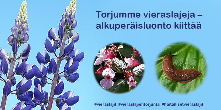 Torjumme vieraslajeja, alkuperäisluonto kiittää.