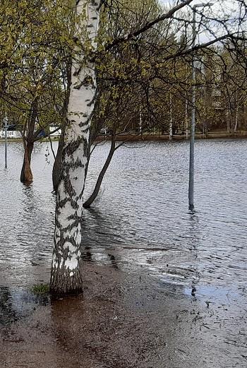 Tulvavesiä kadulla.