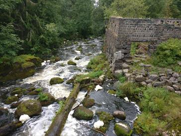 Latokartanonkoski Kiskonjoessa, kuohuva koski