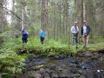 Ihmisiä metsässä