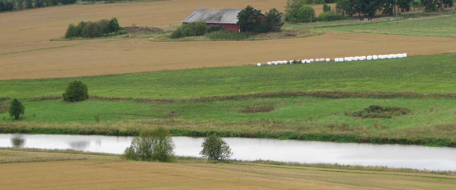 Peltomaisema, kuva: Anni Karhunen
