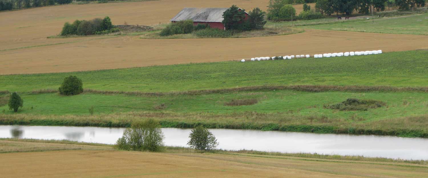 Peltomaisema, kuva: Anni Karhunen.