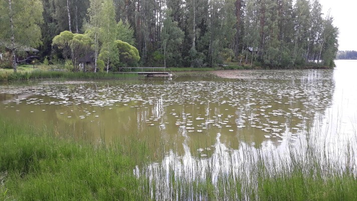 Pyhäjärvi. Taustalla laituri ja mökkiranta.
