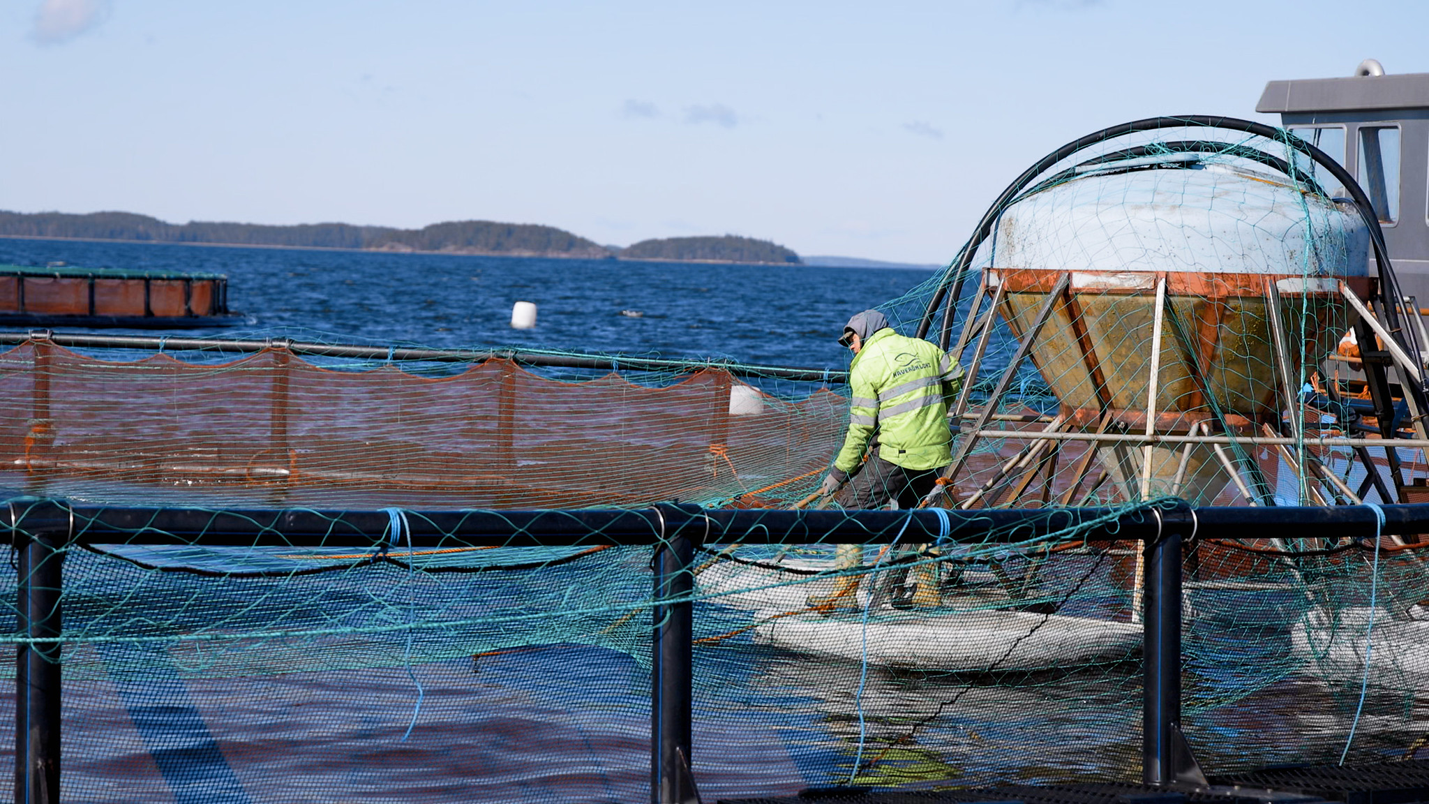 Kalankasvatusta saaristomerellä. Mies vetää verkkoa kalankasvattomossa avovedellä. Kuva: Pro Kala