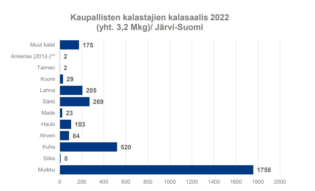 Diagrammi kaupallisten kalastajien kalansaaliista vuonna 2022 (yht. 3,2Mkg)/ Järvi-Suomi. Muikku on merkittävin kalasaalis.