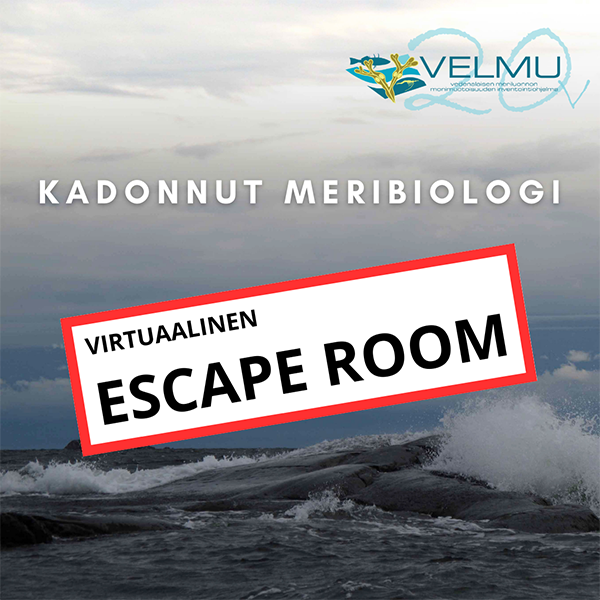 Myrkyisä meri. Teksti: Kadonnut meribiologi - virtuaalinen escape room