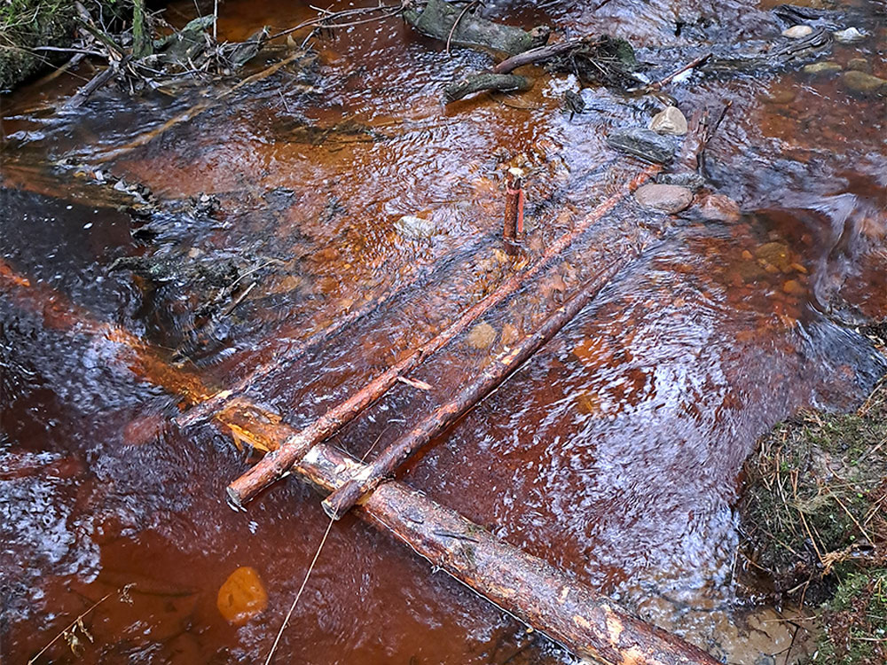 Kuva raakkujen soraikosta, johon on rakennettu sorasta kuohkea pohja ja puusuisteet pitävät aluetta puhtaana ja taimenvapaana.