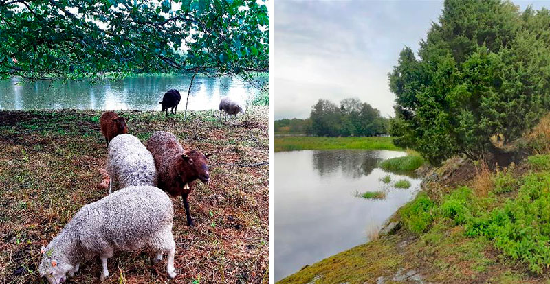 Kokemäellä sijaitsee useita arvokkaita muinaisjäännös-perinnebiotooppikohteita. Kuvat: Hanna Hakamäki.