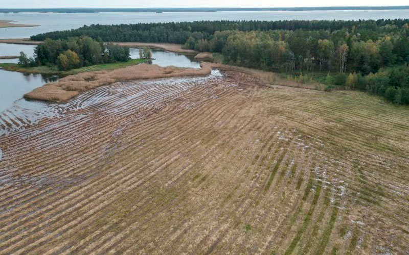 Porin Riitsaranlahdella peruskunnostettiin yhteensä 25 ha tulevaa laidunta. Kuva: RantaService Oy