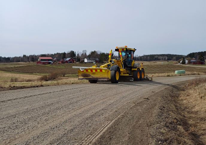 Kuvituskuva tiekarhusta maantiellä.