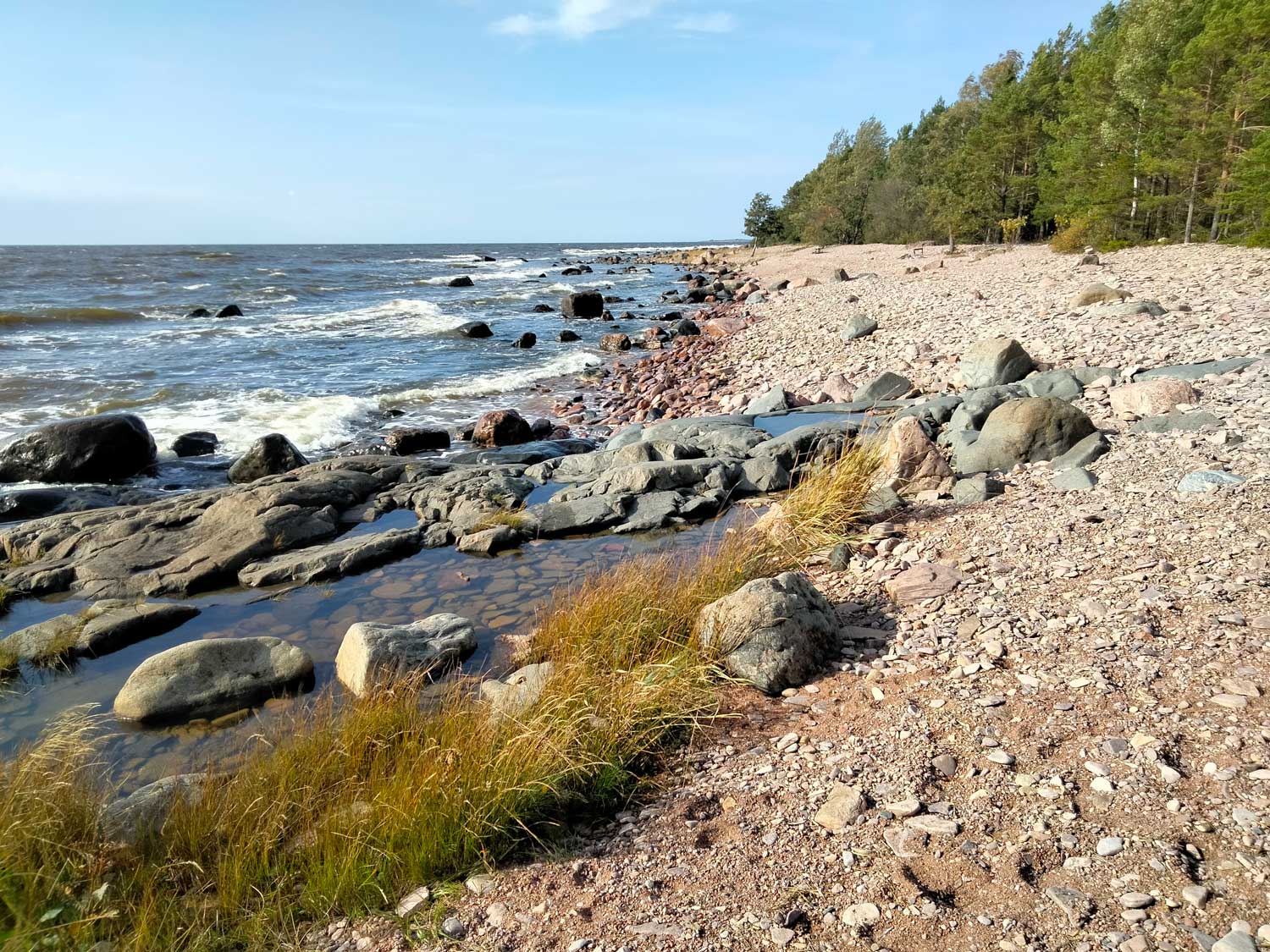Reposaaren rantaa.