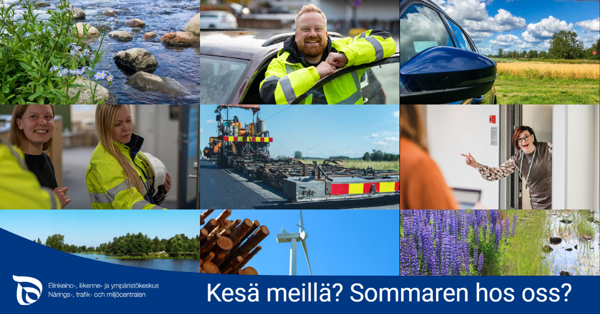Kesäinen kuva. Vietä kesä meillä