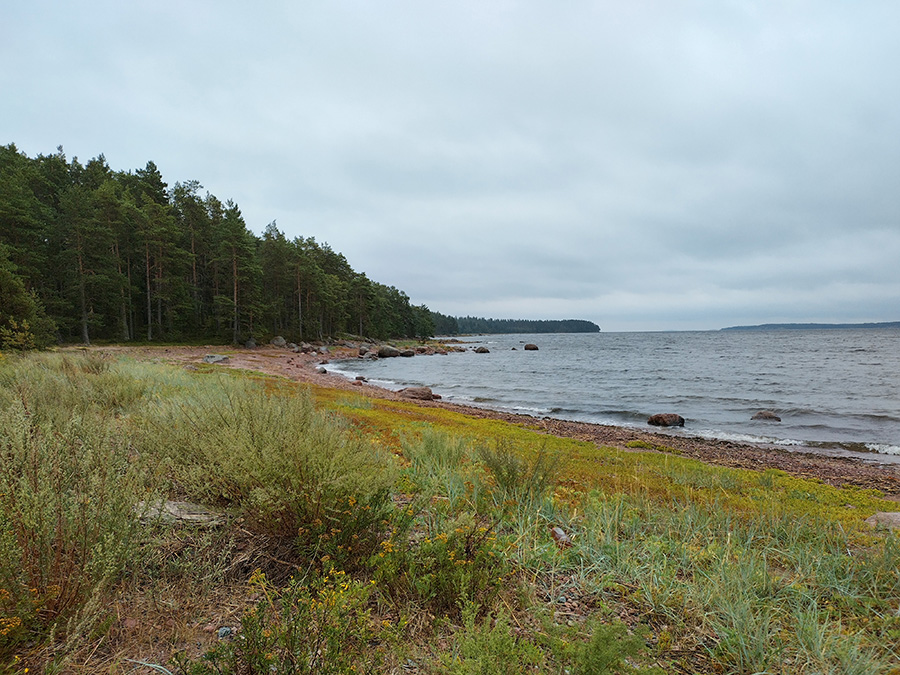 Merenrantamaisemaa pilvisellä säällä.
