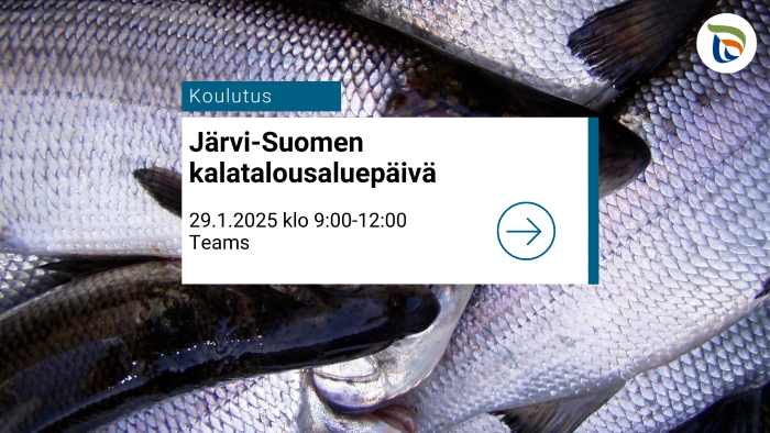 Järvi-Suomen kalatalouspäivä 29.1.2029. kuvassa särkiä