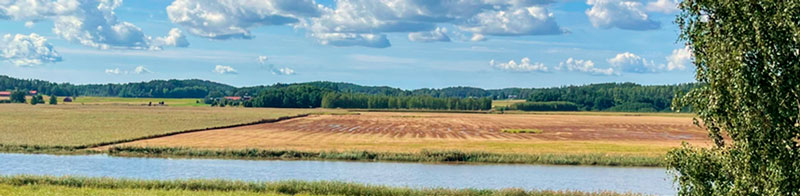 Koristeellinen kuva.
