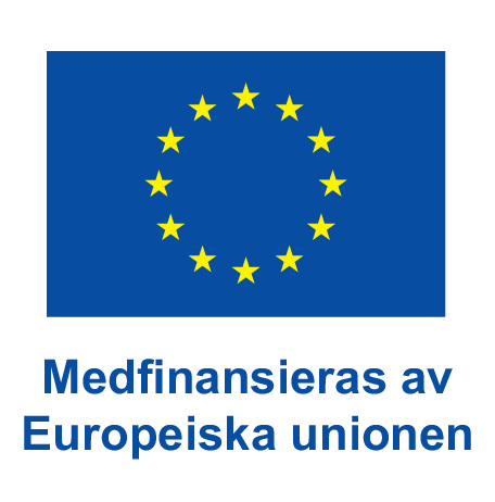 EU logo.