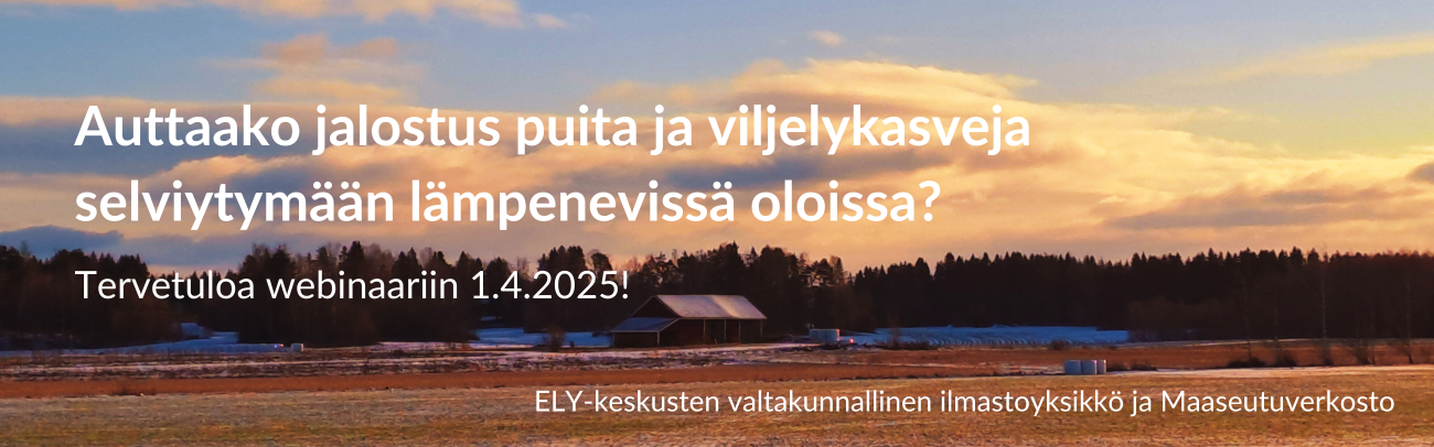 Webinaarin ilmoituskuva.