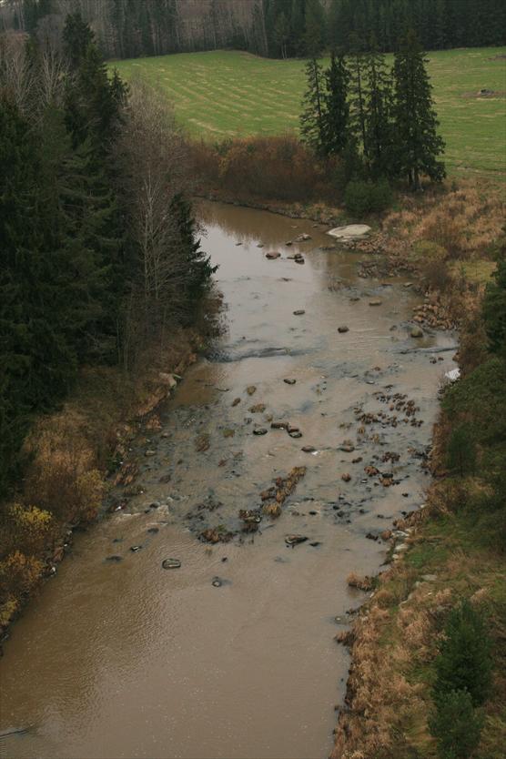 Kuva esittää joenpohjaa.