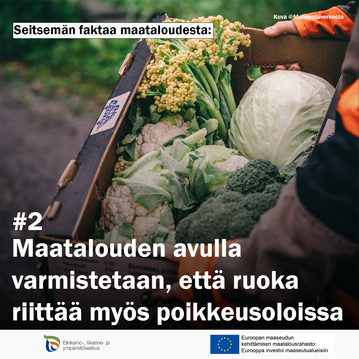 Vihanneslaatikko. Teksti:  seitsemän faktaa maataloudesta #2 Maatalouden avulla varmistetaan, että ruoka riittää myös poikkeusoloissa.