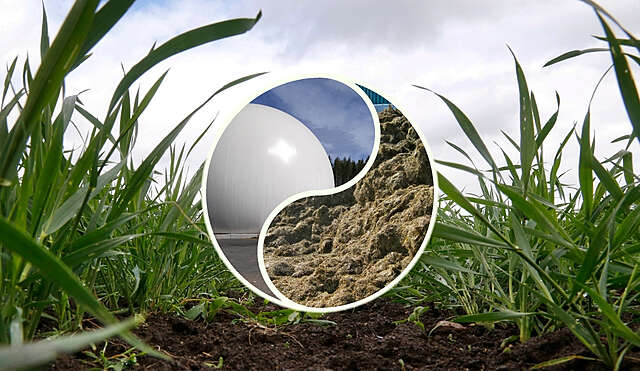 Kuvan taustalla nurmikasvustoa. Kuvan keskellä ympyrän muotoinen symboli, jossa kuvat biokaasulaitoksesta ja kierrätyslannoitekasasta.