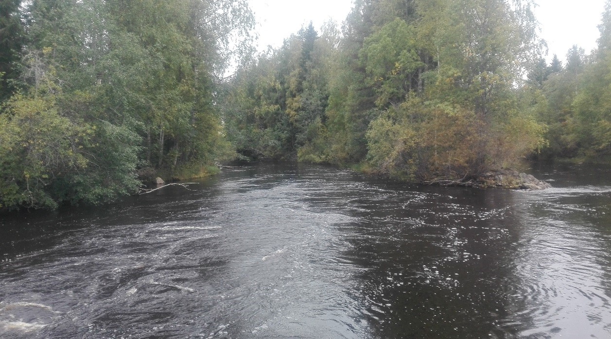 Kuvituskuva: Soininkosken padon alavirta, Soininjoki, Virrat. Kuva: Milla Torkkel