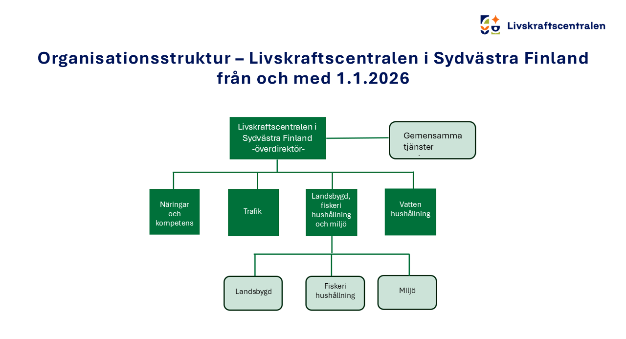 Organisationsstruktur – Livskraftscentralen i Sydvästra Finland från och med 1.1.2026.