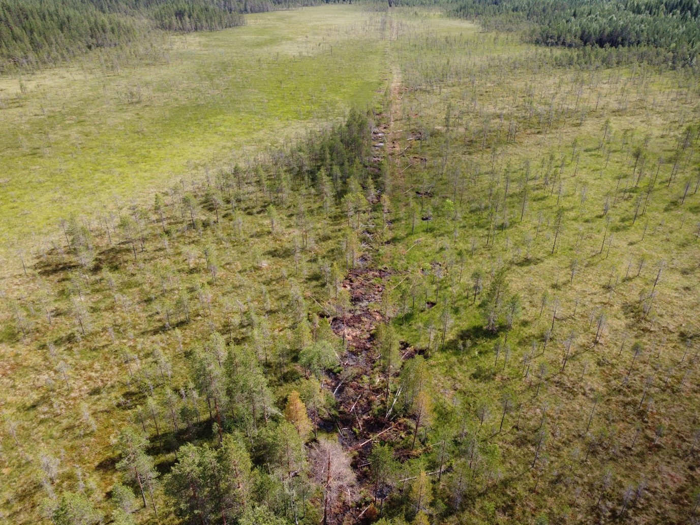 Kuva 1. Ennallistettu suo Rautavaaralla. Kuva: Vesa Kontio, Pohjois-Savon ELY-keskus
