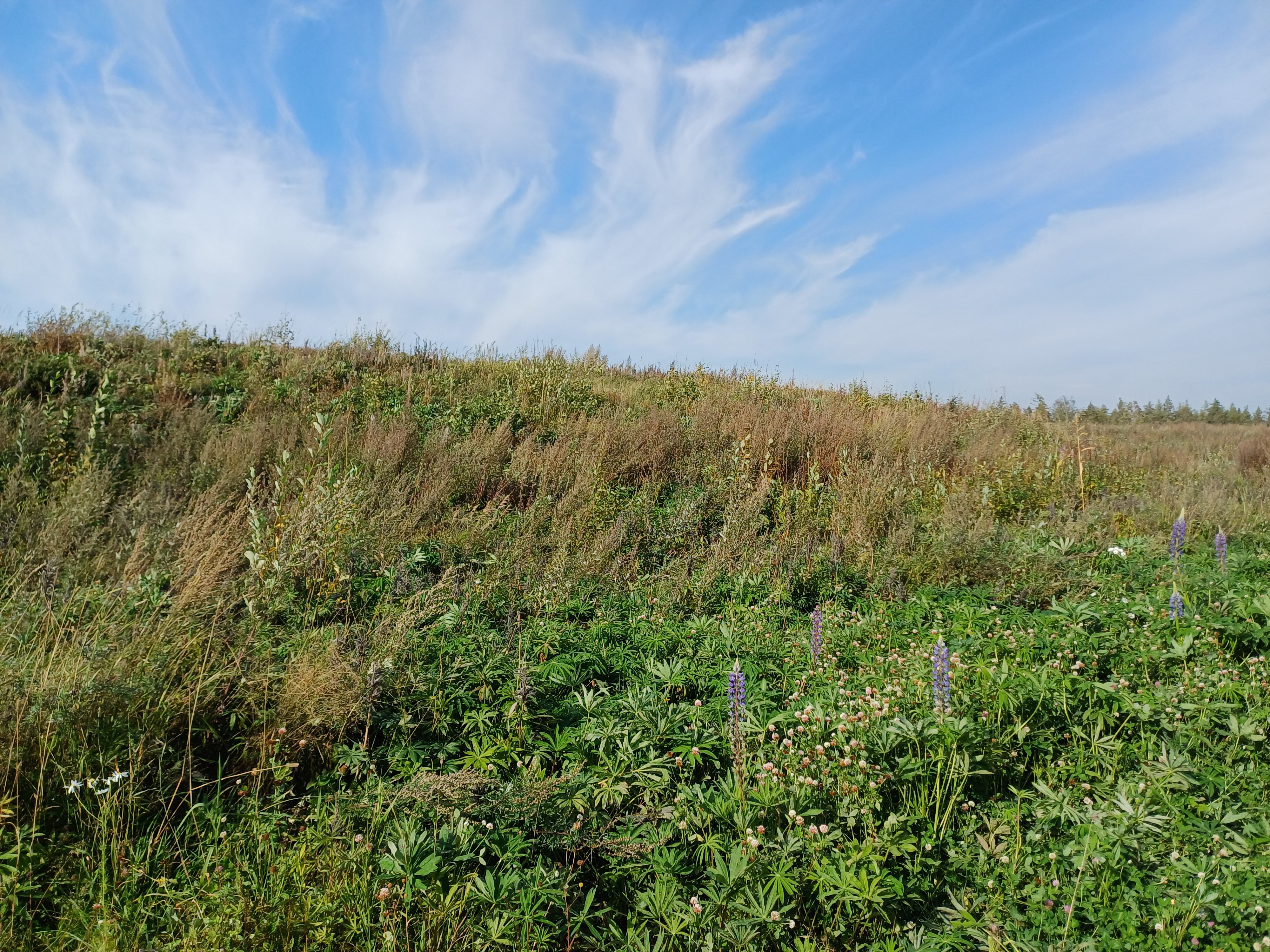 Alajärven kaatopaikka syyskuussa 2024.