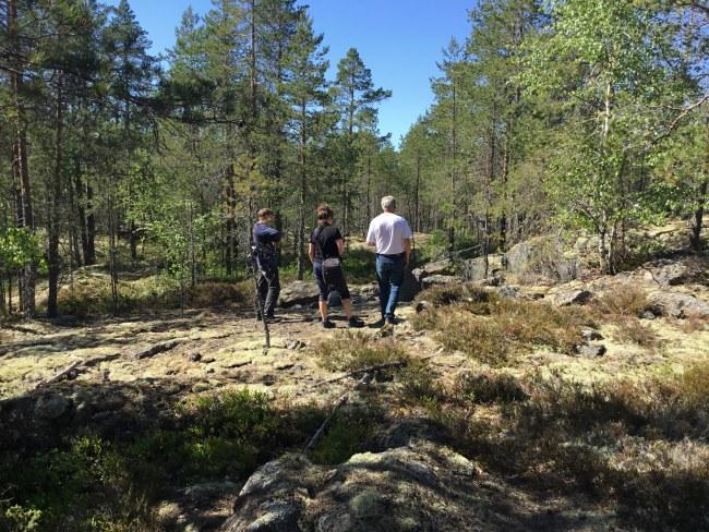 Ketunlenkillä Alahärmän luonnossa.