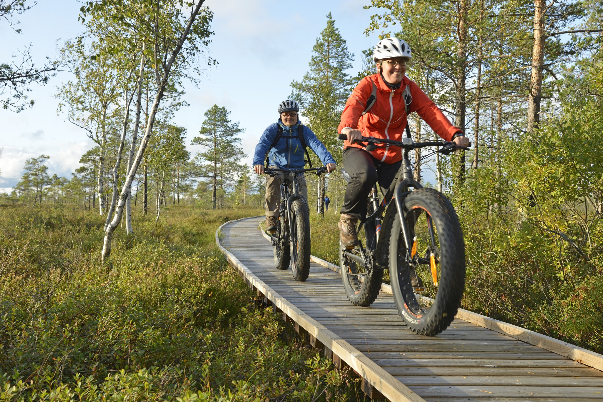 Pyräilijät Kauhanevan lankkupolulla
