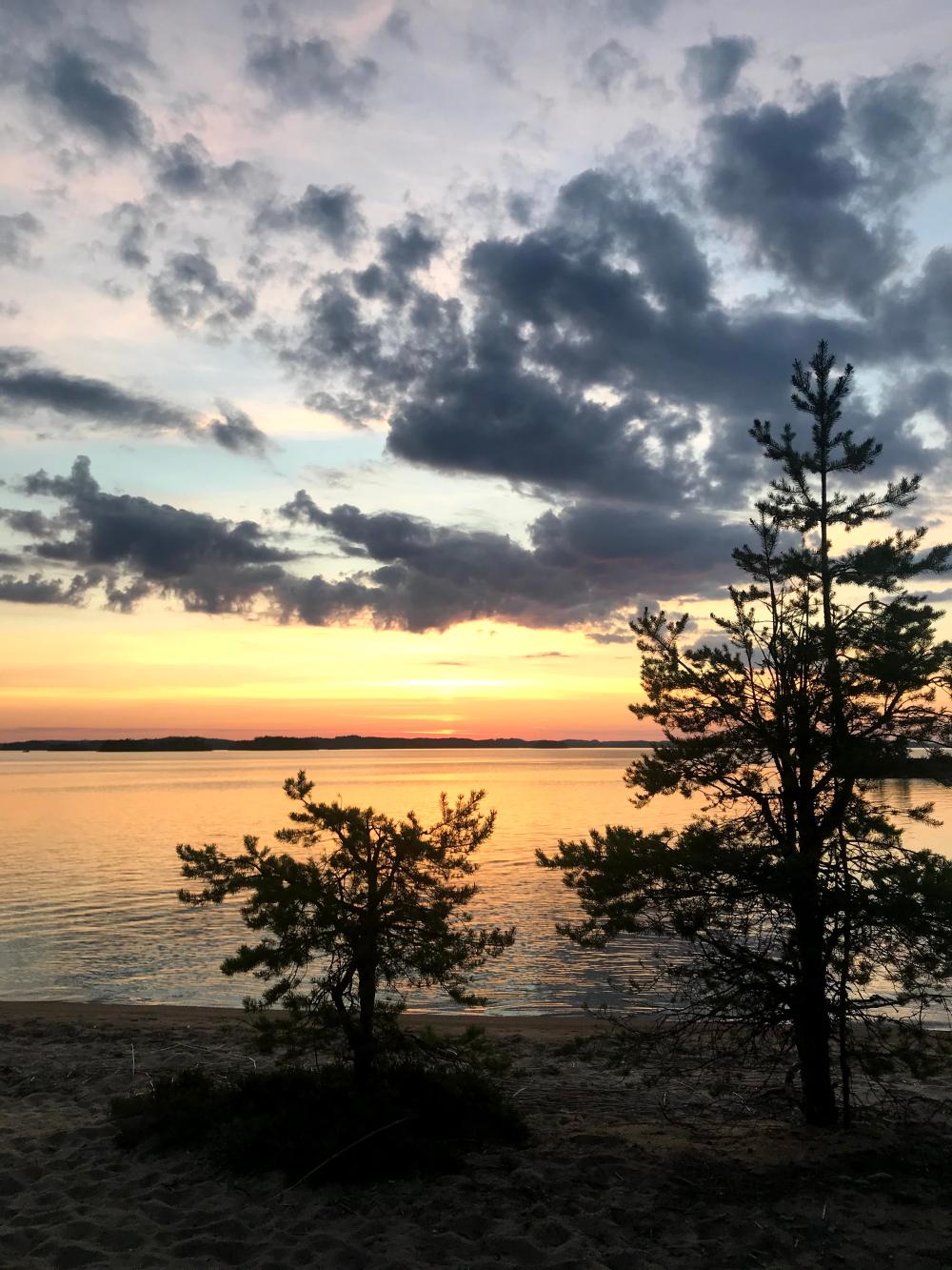 Kuva rannalta, jossa auringonlasku taivaanrannassa pilvisellä taivaalla, etualalla pieniä männynalkuja