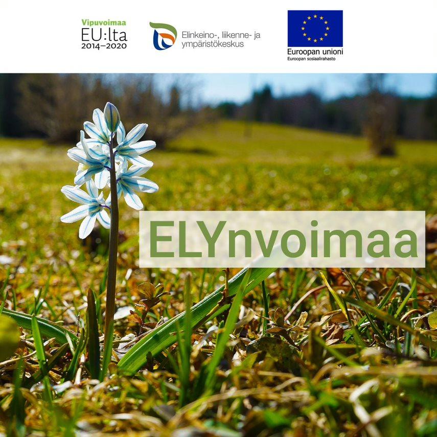 ELYnvoimaa -podcastin tunnuskuva