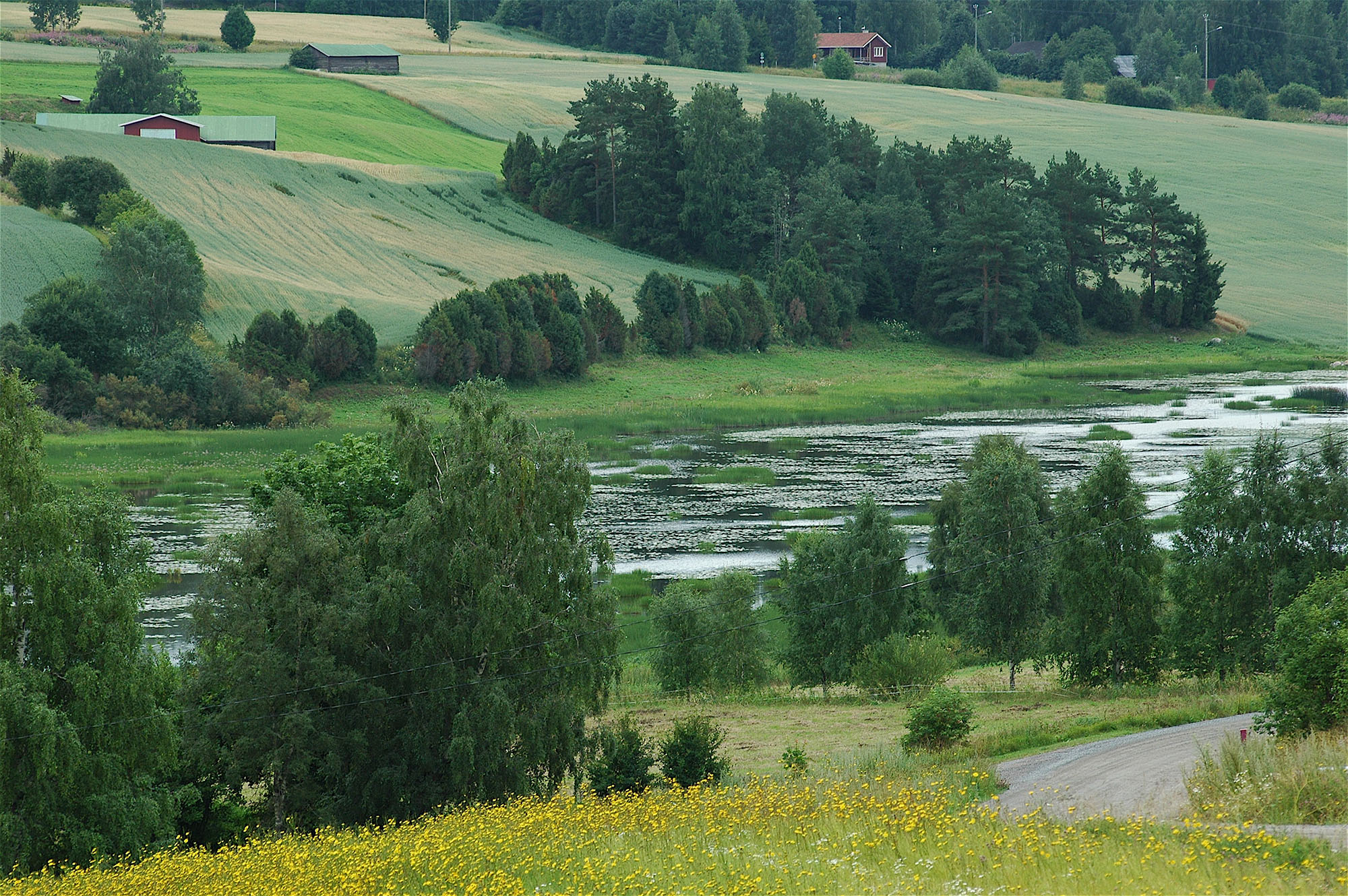 Kuvassa on järvi- ja peltomaisemaa