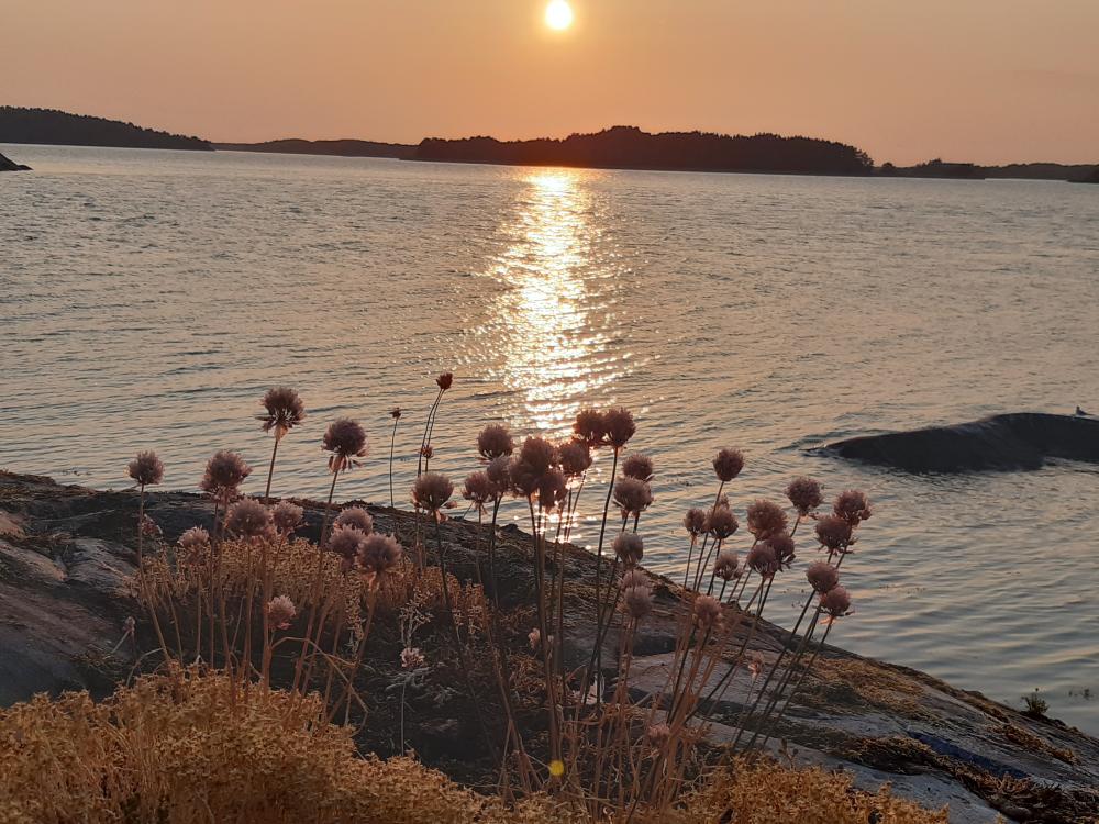 Auringonlasku Saaristomerellä