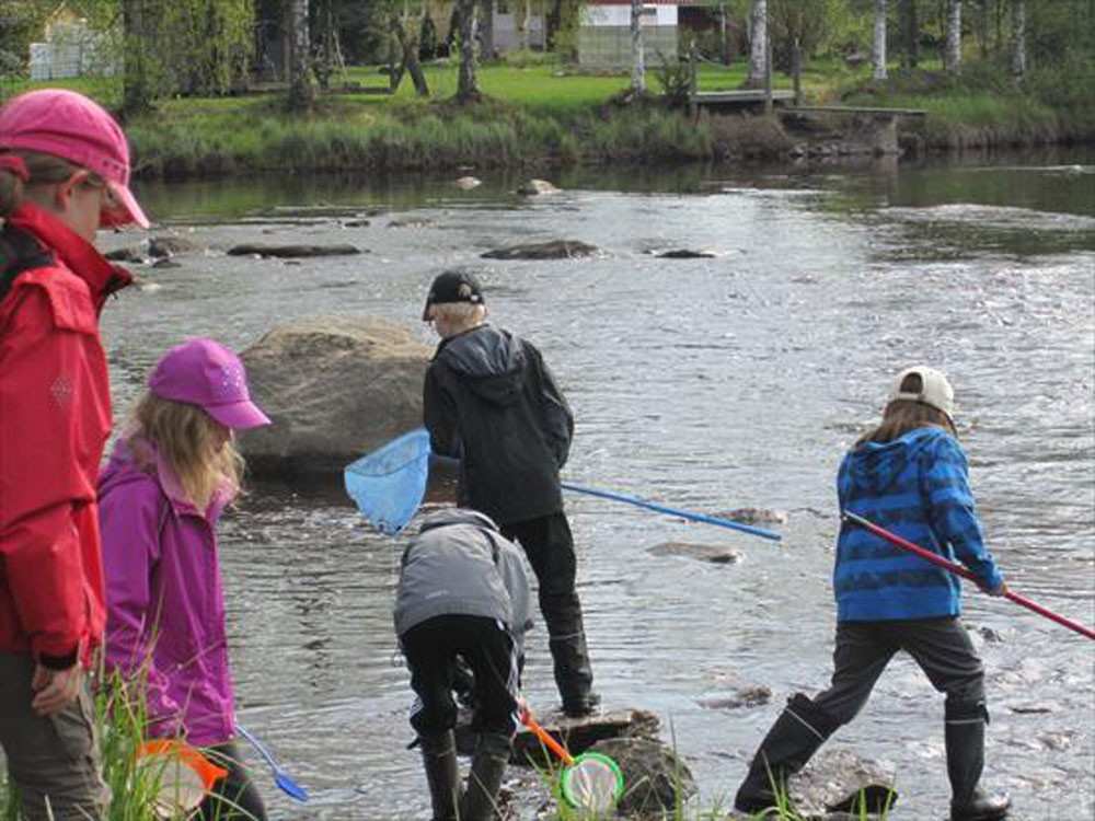 Pomarkun Kirkonkylän koulu oli yksi VELHO-hankkeen kummikouluista, joilla järjestettiin vesiteemaisia opetuspäiviä.Tässä oppilaat ötökkäjahdissa 21.5.2012. Kuva: Kati Saarni