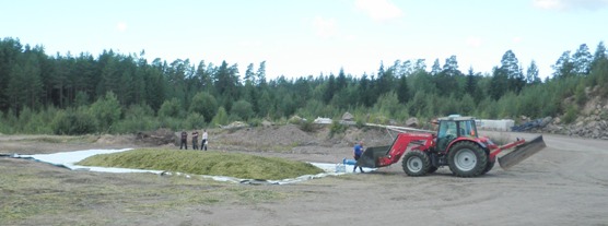 Auman (6 x 13 x 1 m) pintaan levitettiin muurahaishappopitoista AIV-liuosta ja se peitettiin tiiviisti aumamuovilla ja autonrenkailla.