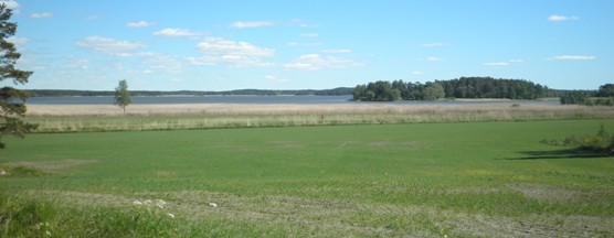 Rantojen lähellä on paljon peltoja, joten käyttöketju ei ole sidottu vain harvoihin käyttökohteisiin kuten energiakäytössä, mikä vähentää kuljetusten ja käsittelyn tarvetta.