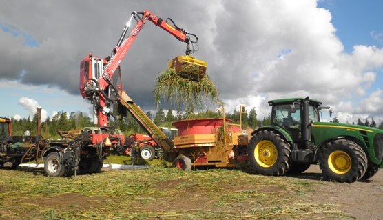 Haybuster on tehokas jauhinmurskain, mutta on sen käyttö erillisine nostolaitteineen vaatii paljon tilaa ympärilleen. Se soveltuu parhaiten käytettäväksi, kun usealta leikkuualueelta kerätään massat yhteen paikkaan esimerkiksi biokaasulaitoksen pihalle ja murskataan kerralla.