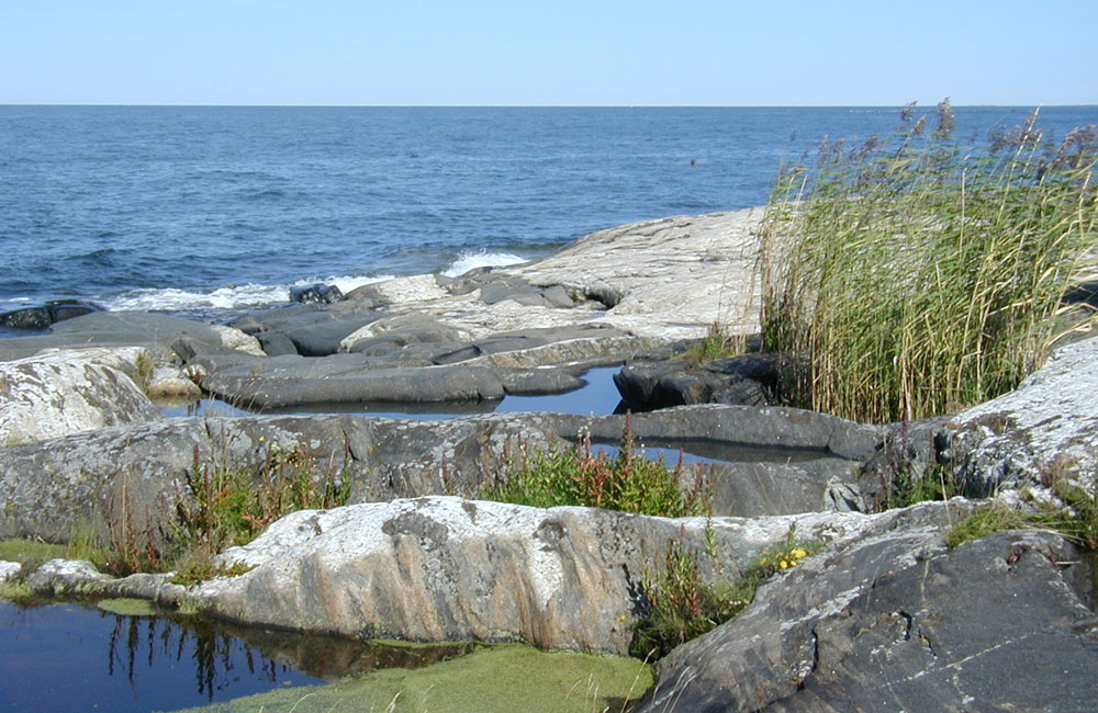 Sten och havsstrand.