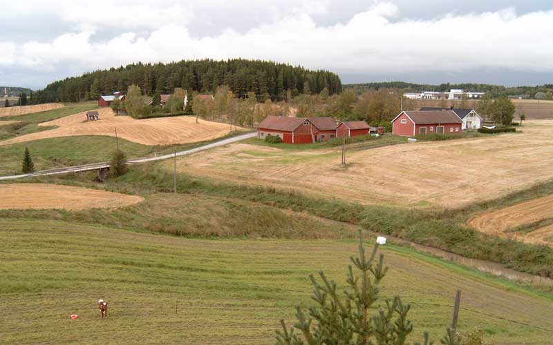 Savijoen kumpuilevaa maastoa.