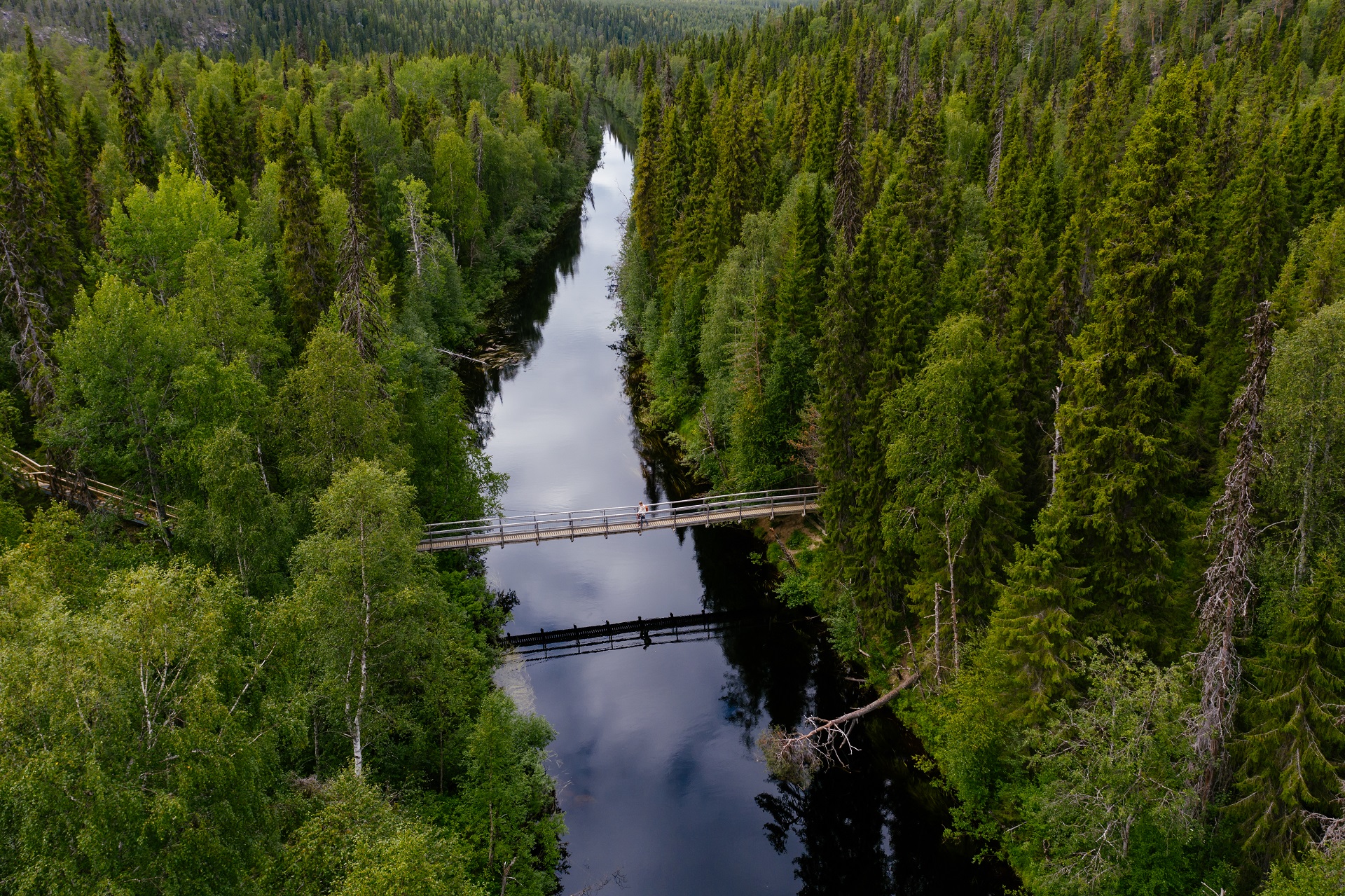 Ilmakuva Yläkemijoelta. Vaaramaisemat, korkeat jokitörmät ja vanhat metsät hallitsevat maisemaa. Retkeilijä kävelee Auttijoen sillalla.