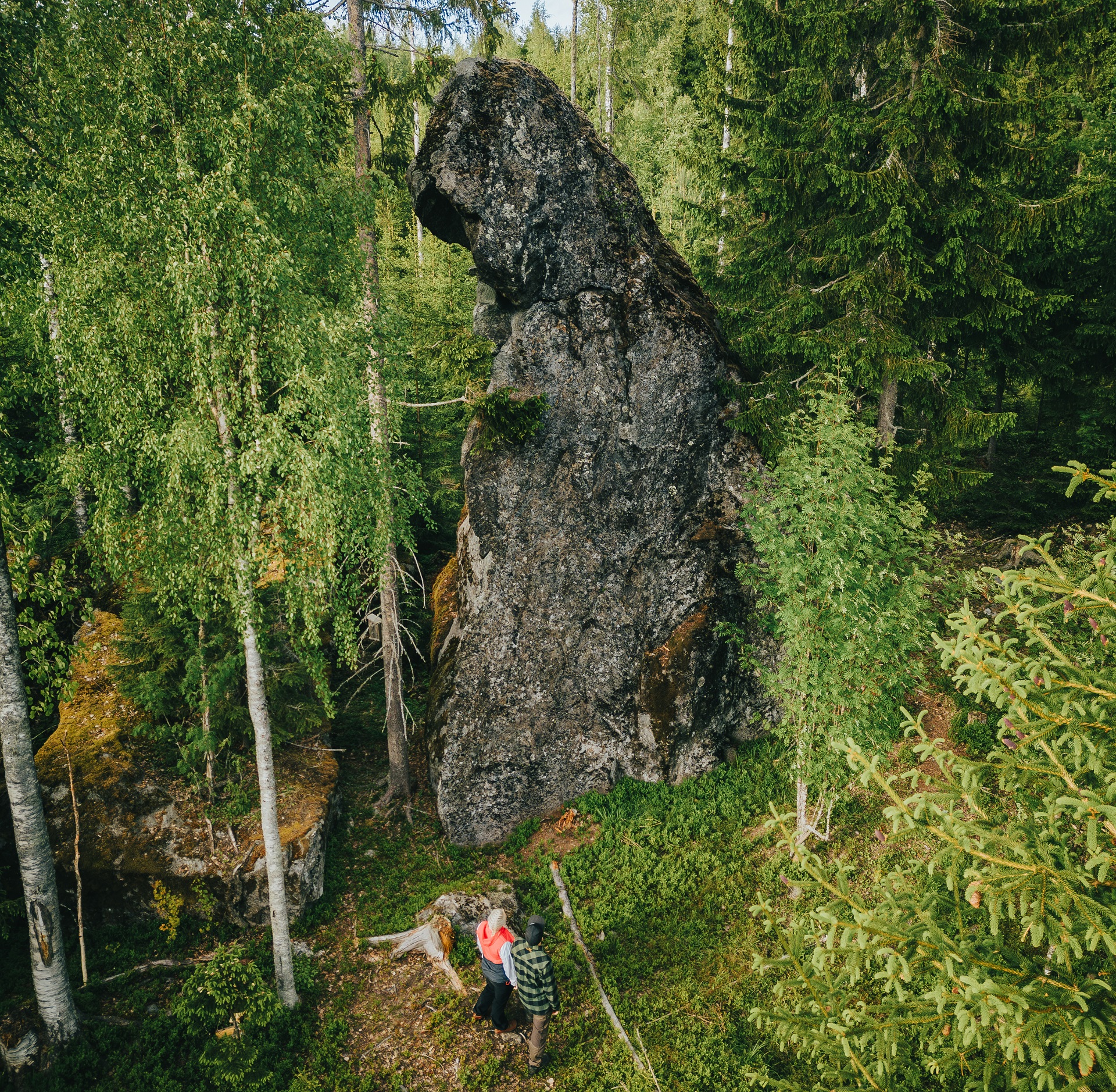 Ihmiset seisovat metsässä torikiven juurella.